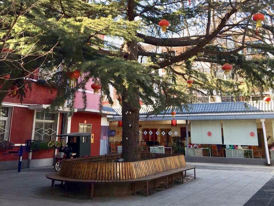 寸草春晖养老院1.jpg