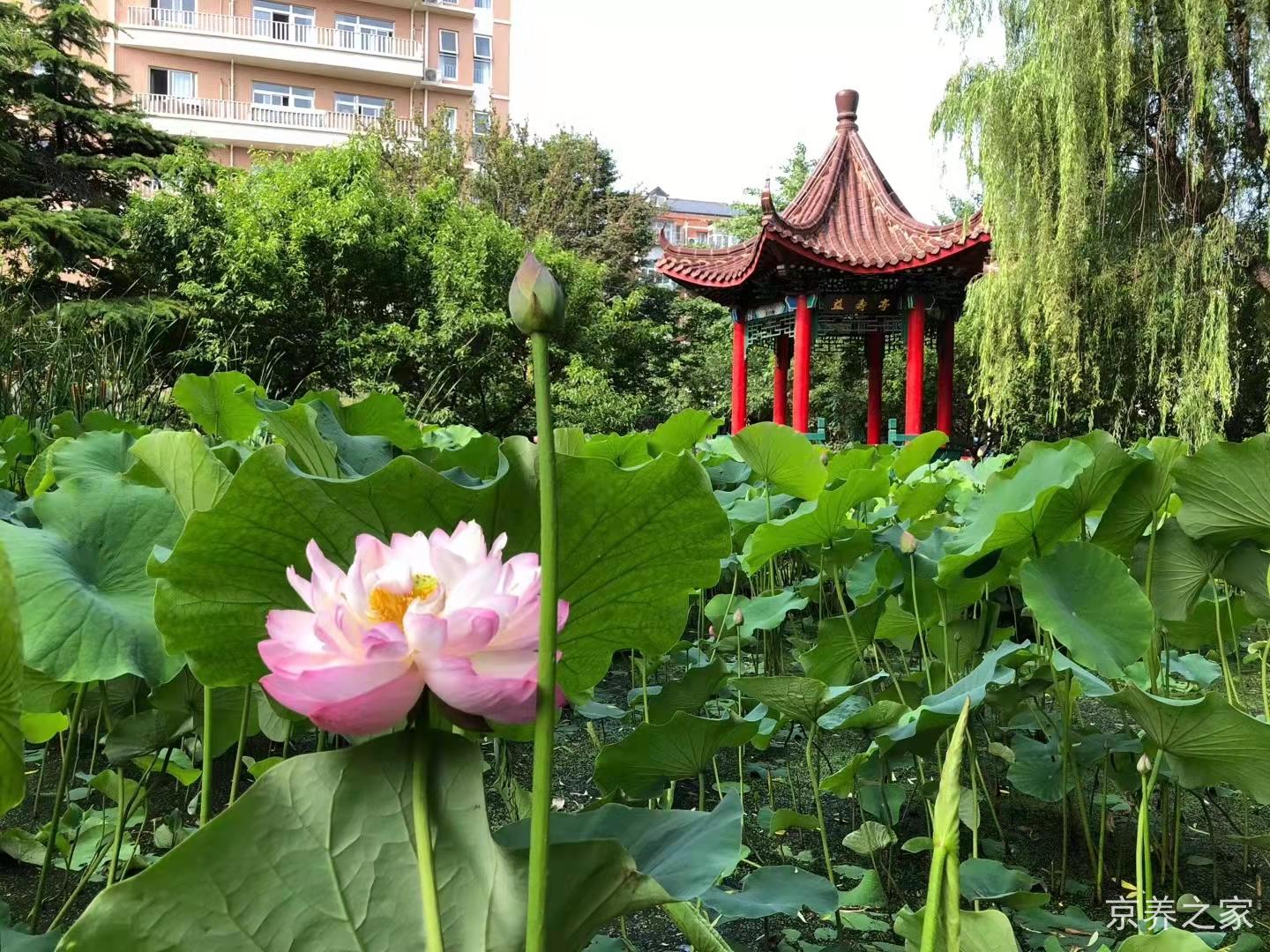 北京怀柔幸福里养老中心
