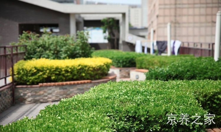 金融街养老照料中心