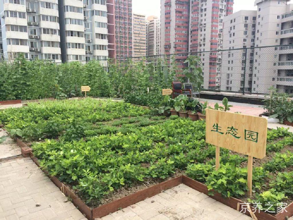 北京市朝阳区太阳宫老年公寓