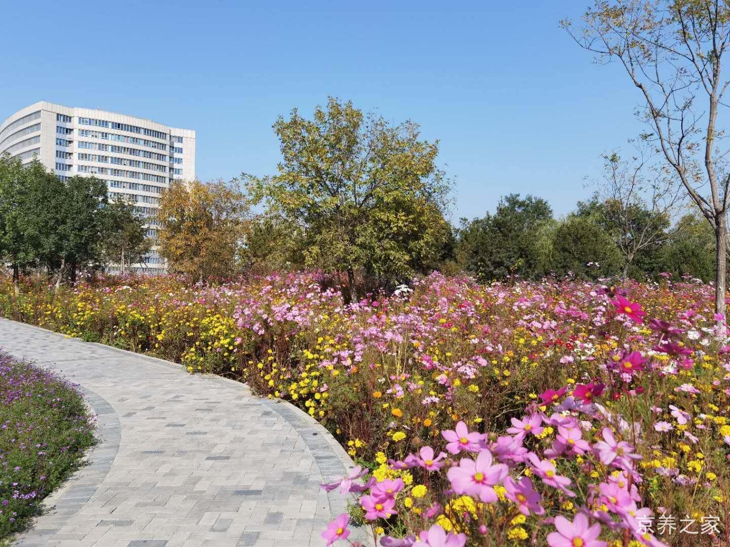 北京市丰台区养合老年公寓