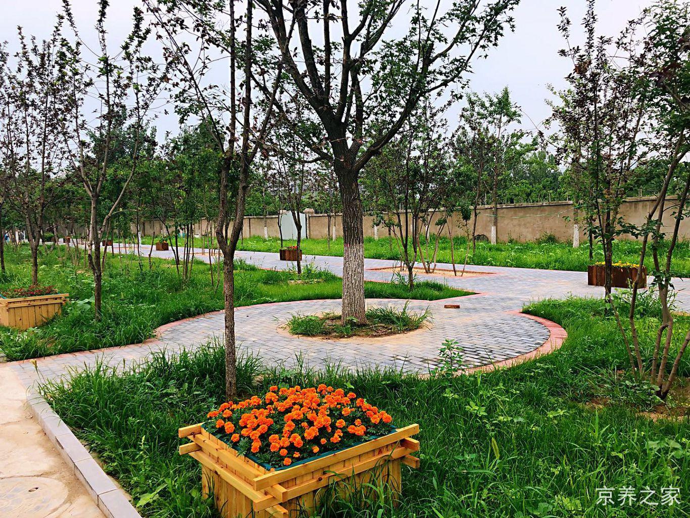 北京市石景山区颐和康泰养老护理院