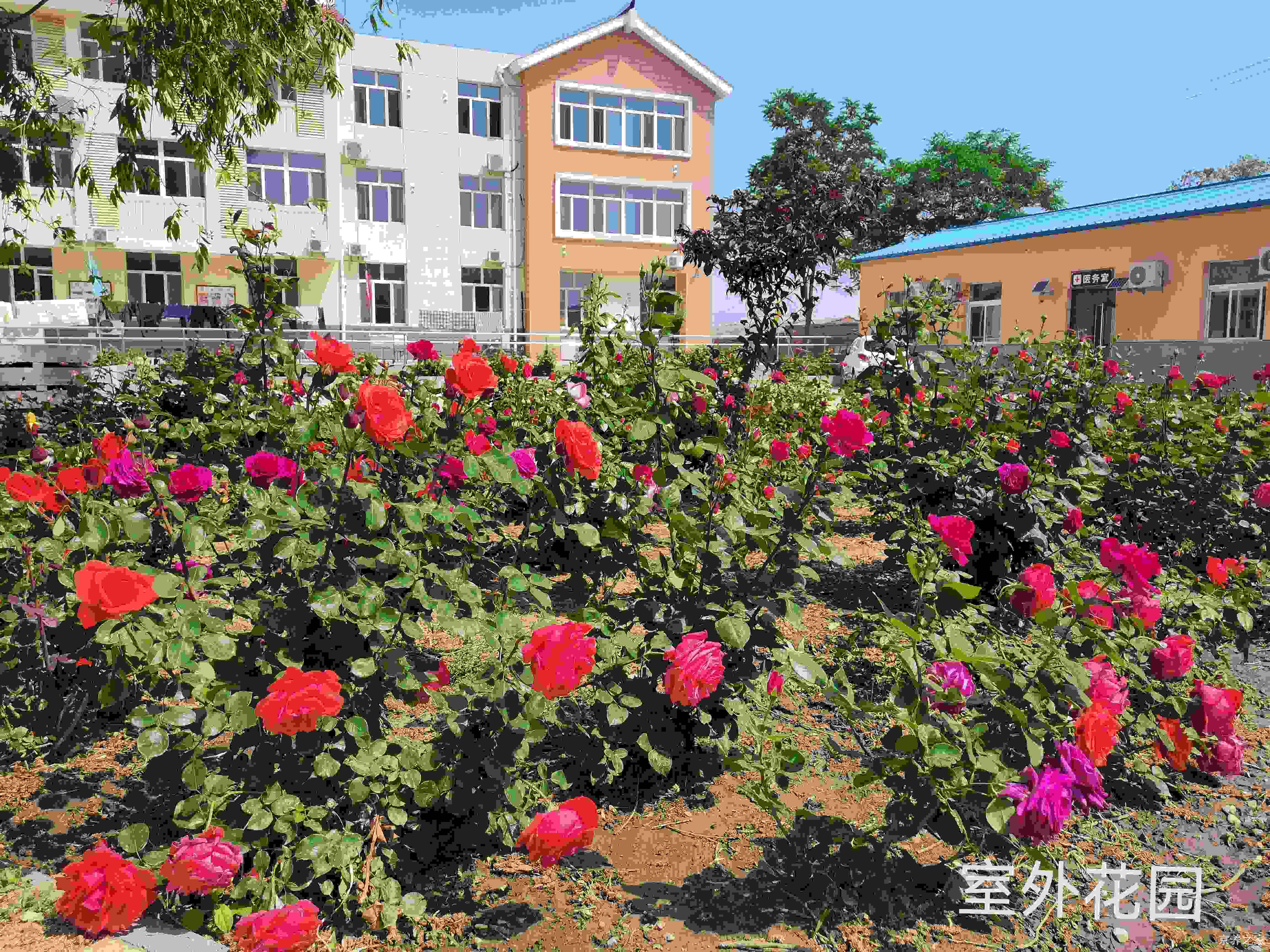 北京市延庆区瑞康缘老年养护中心