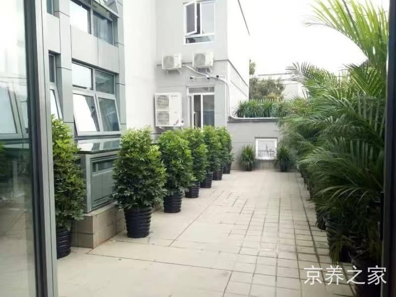 北京市东城区天坛兆如老年养护中心