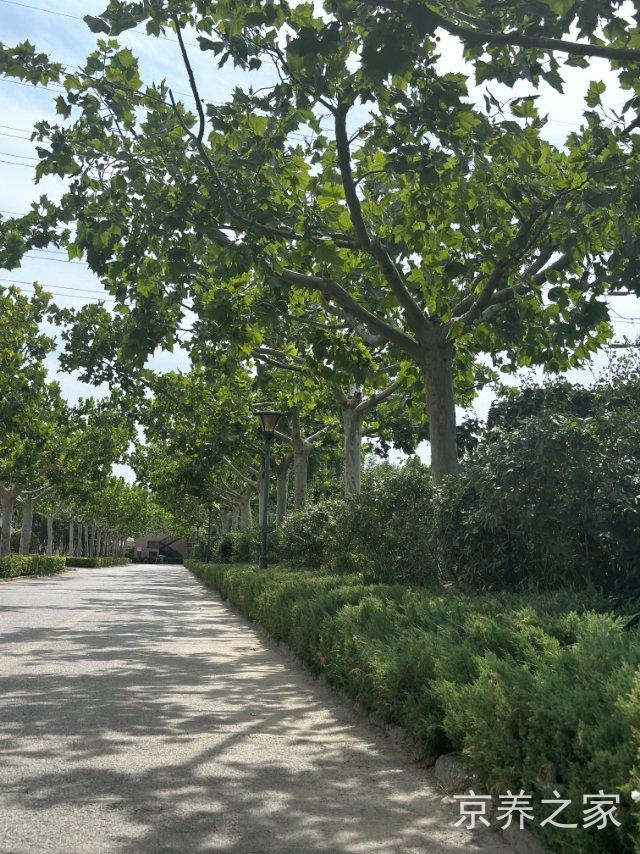 北京市朝阳区圣泽峰老年公寓