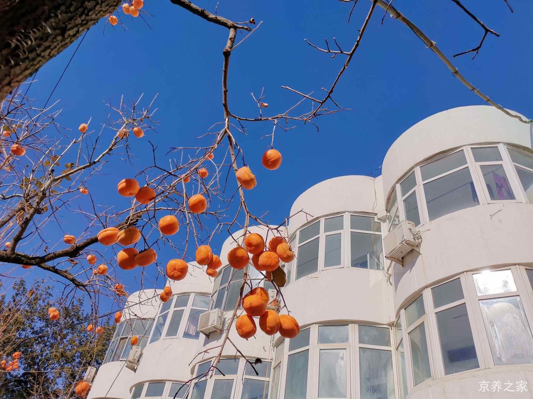 北京市福寿老年公寓
