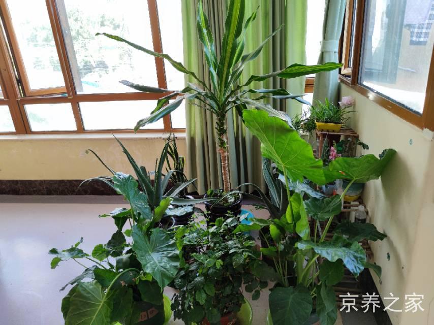 北京市海淀区清河安宁养老照料中心