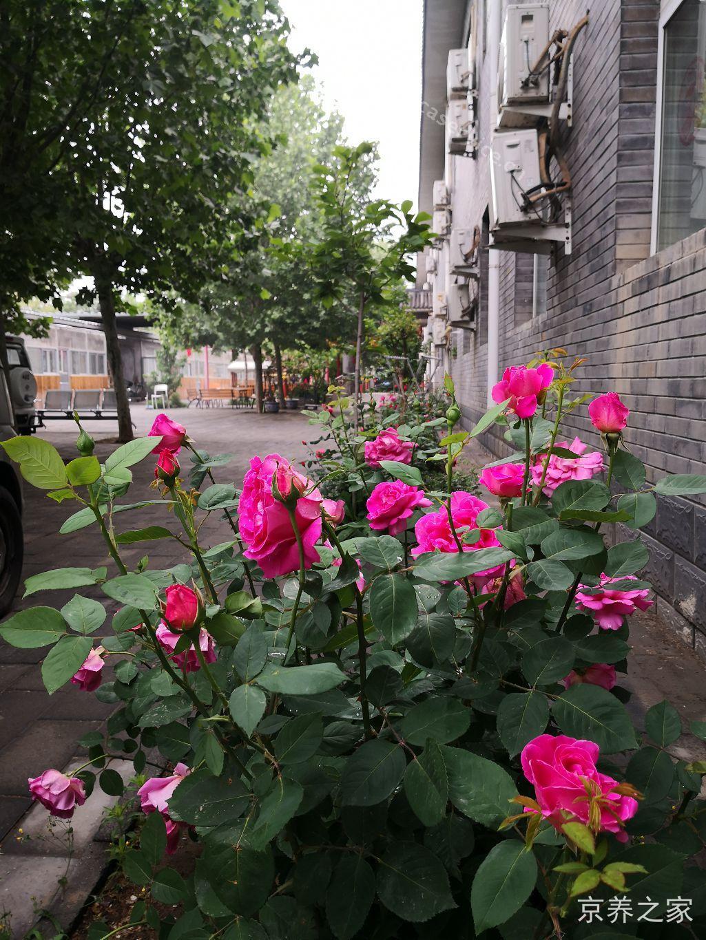 北京市海淀区双缘敬老院