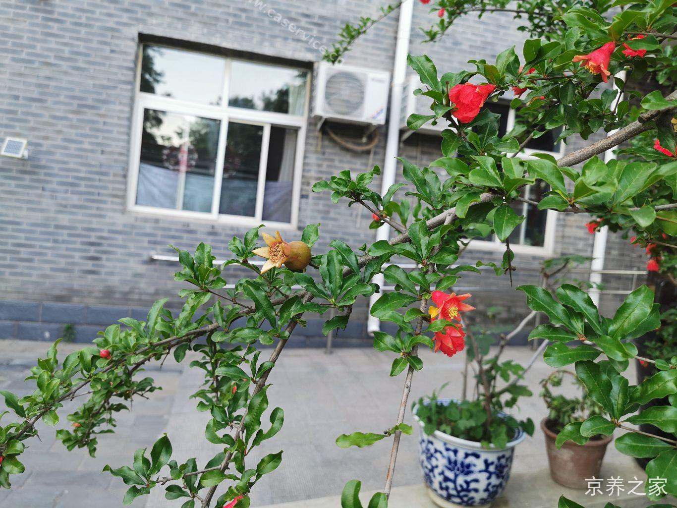北京市海淀区双缘敬老院
