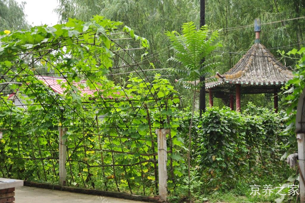 北京市房山区窦店镇敬老院