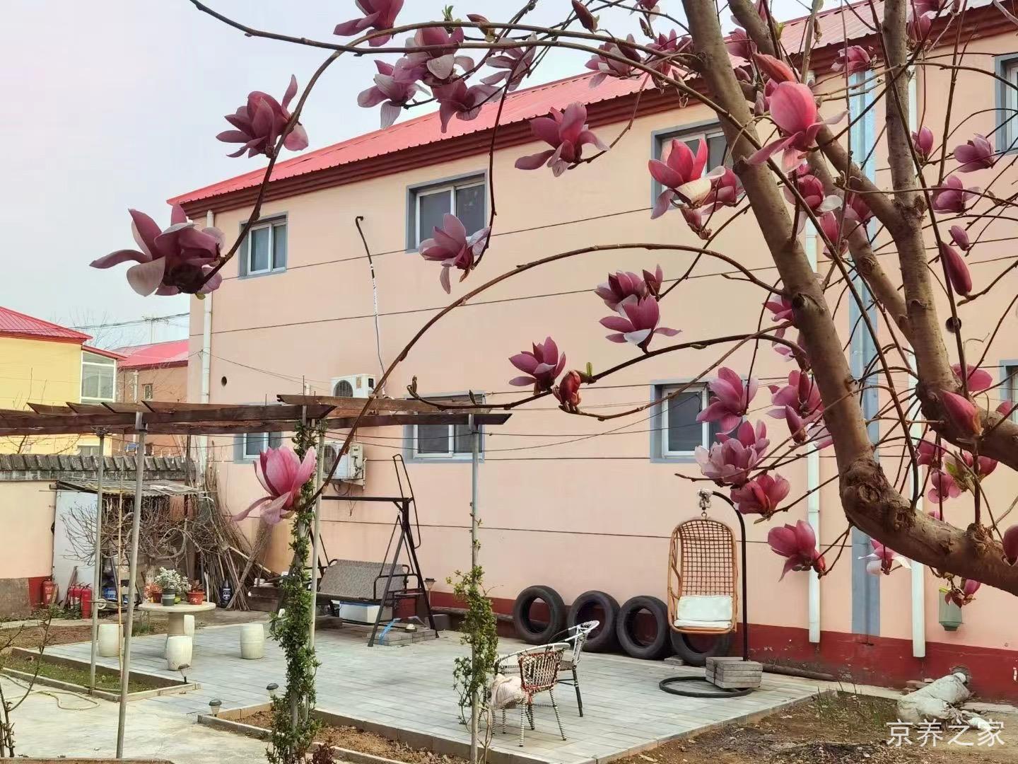北京市房山区琉璃河镇国立老年福利院
