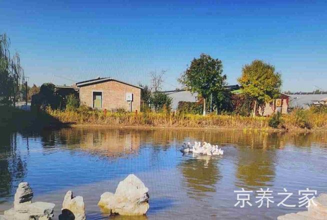 北京市通州区马驹桥镇第二社会福利服务中心