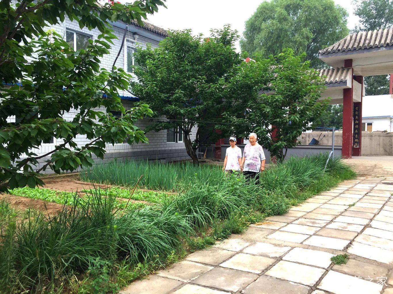 北京市通州区宋庄镇徐辛庄敬老院