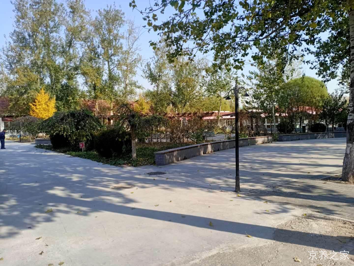 北京市大兴区林校路街道老年人服务中心