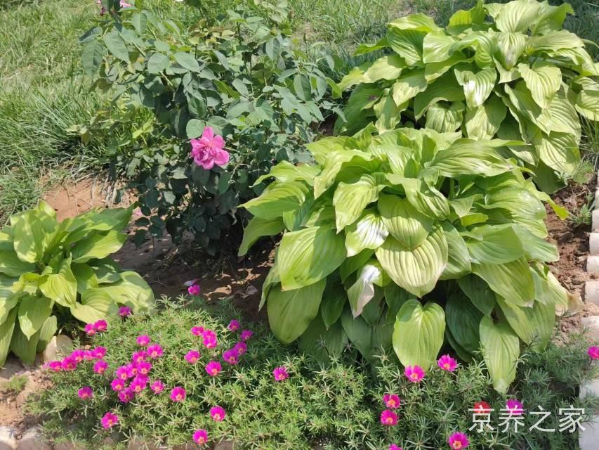北京市密云区巨各庄镇社会福利中心