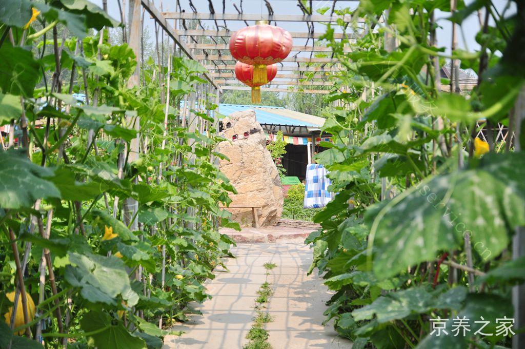 北京市延庆区温馨之家养老院