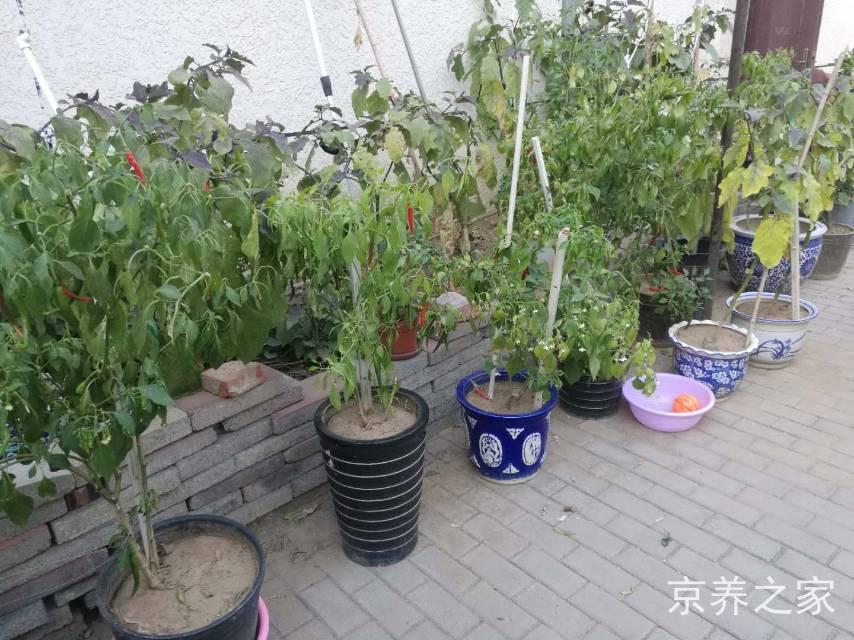北京市东城区建国门街道来德老年公寓
