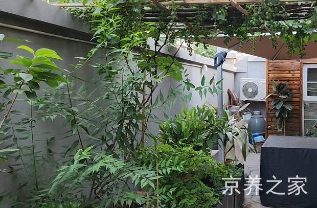 北京市西城区西长安街西绒线银龄养老照料中心