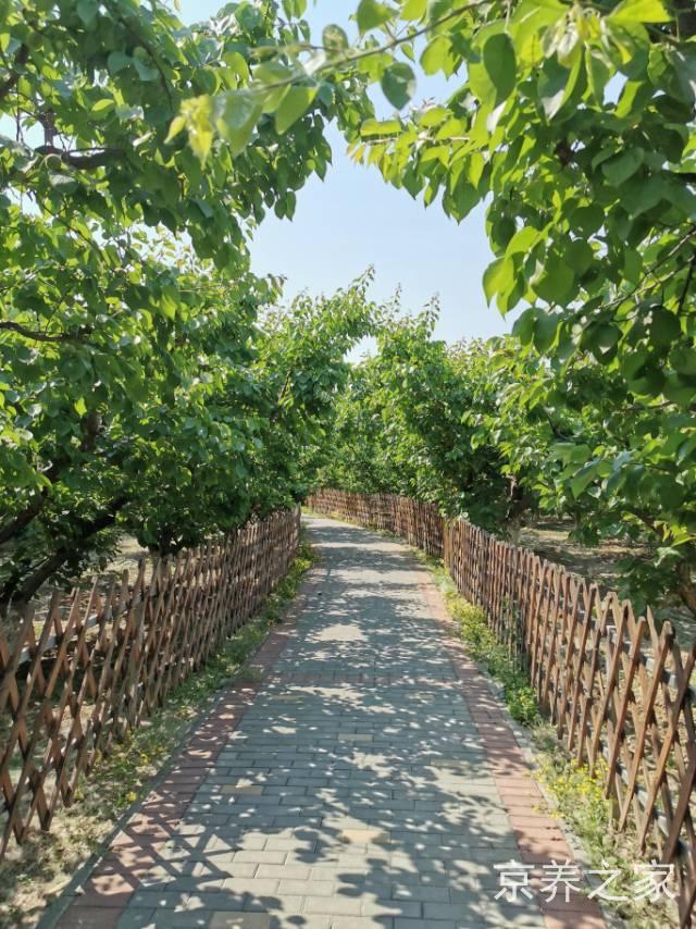 北京市朝阳区彩虹村庄养老院
