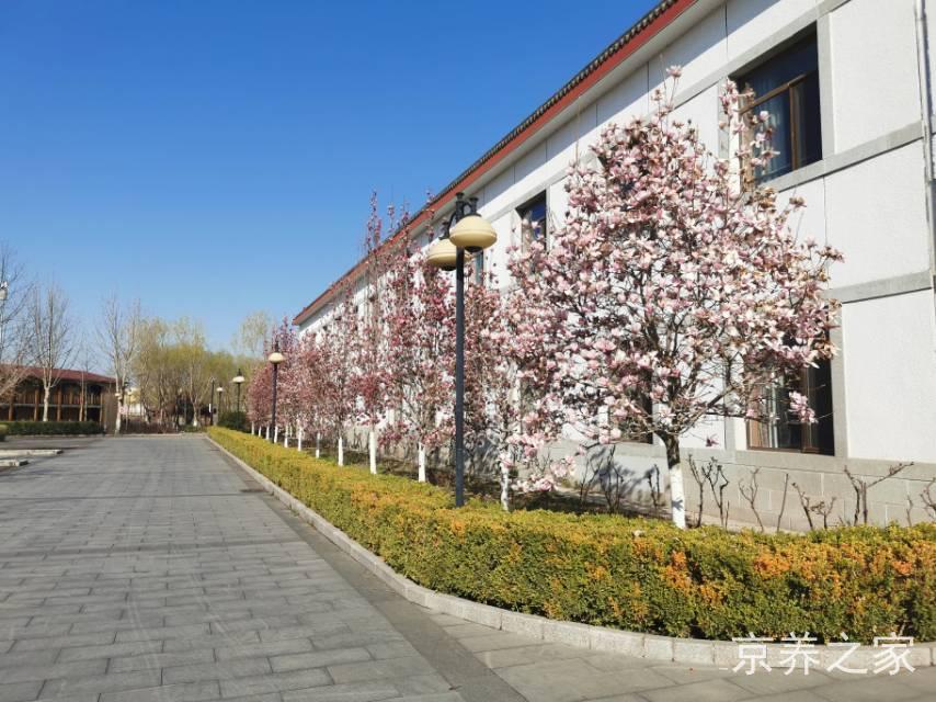 北京市朝阳区彩虹村庄养老院