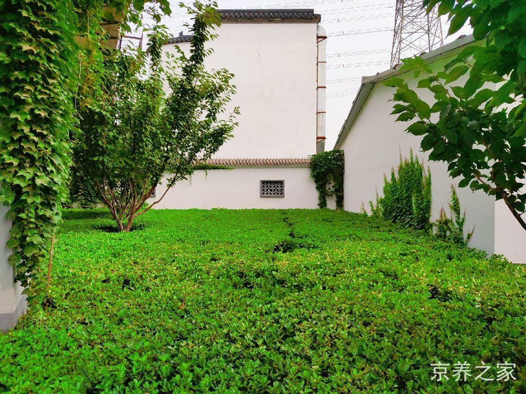 北京市朝阳区嘉德老年公寓