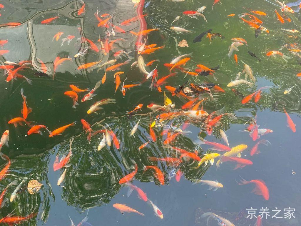 北京市朝阳区康辉老年公寓