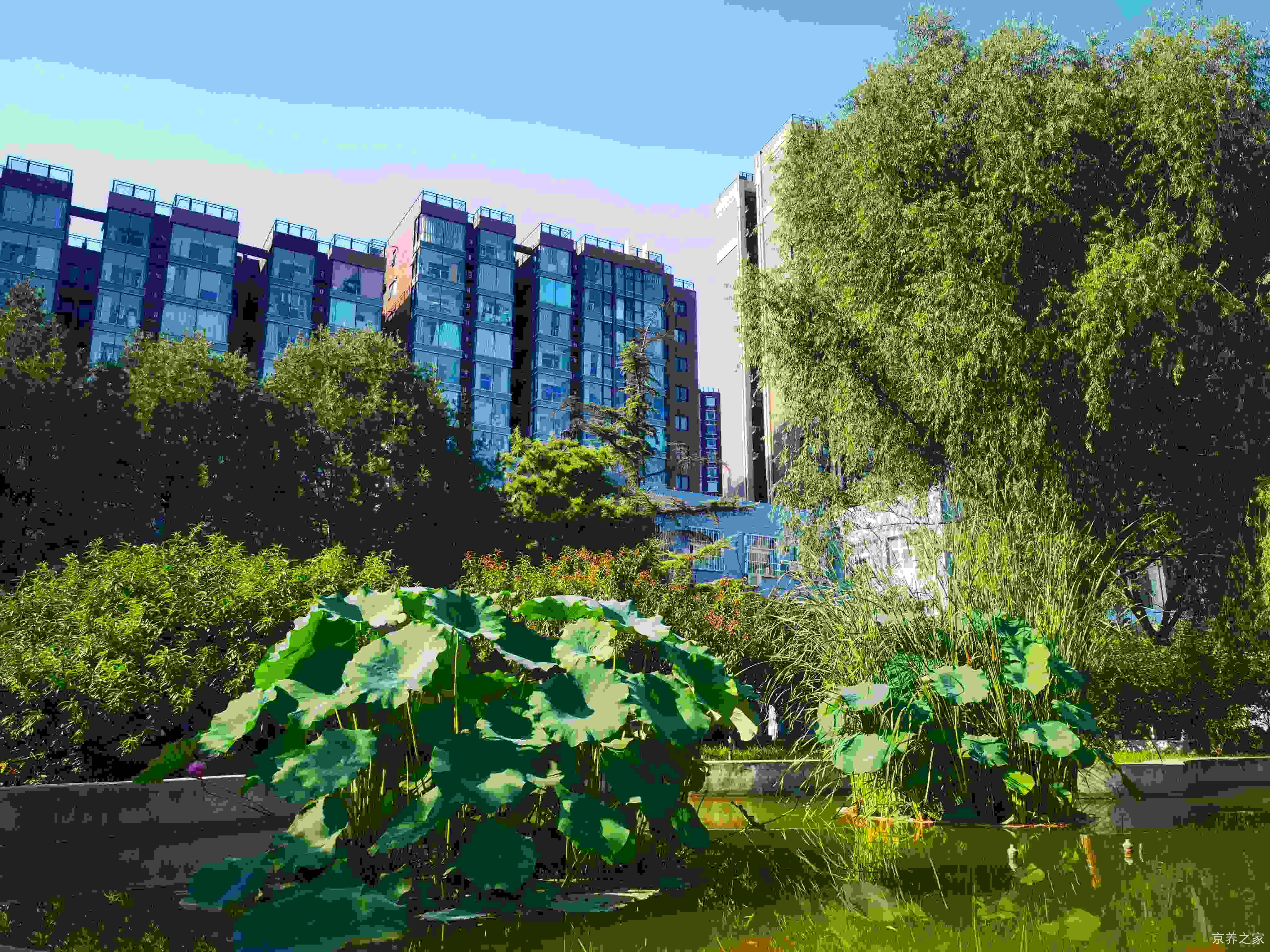 北京市第四社会福利院