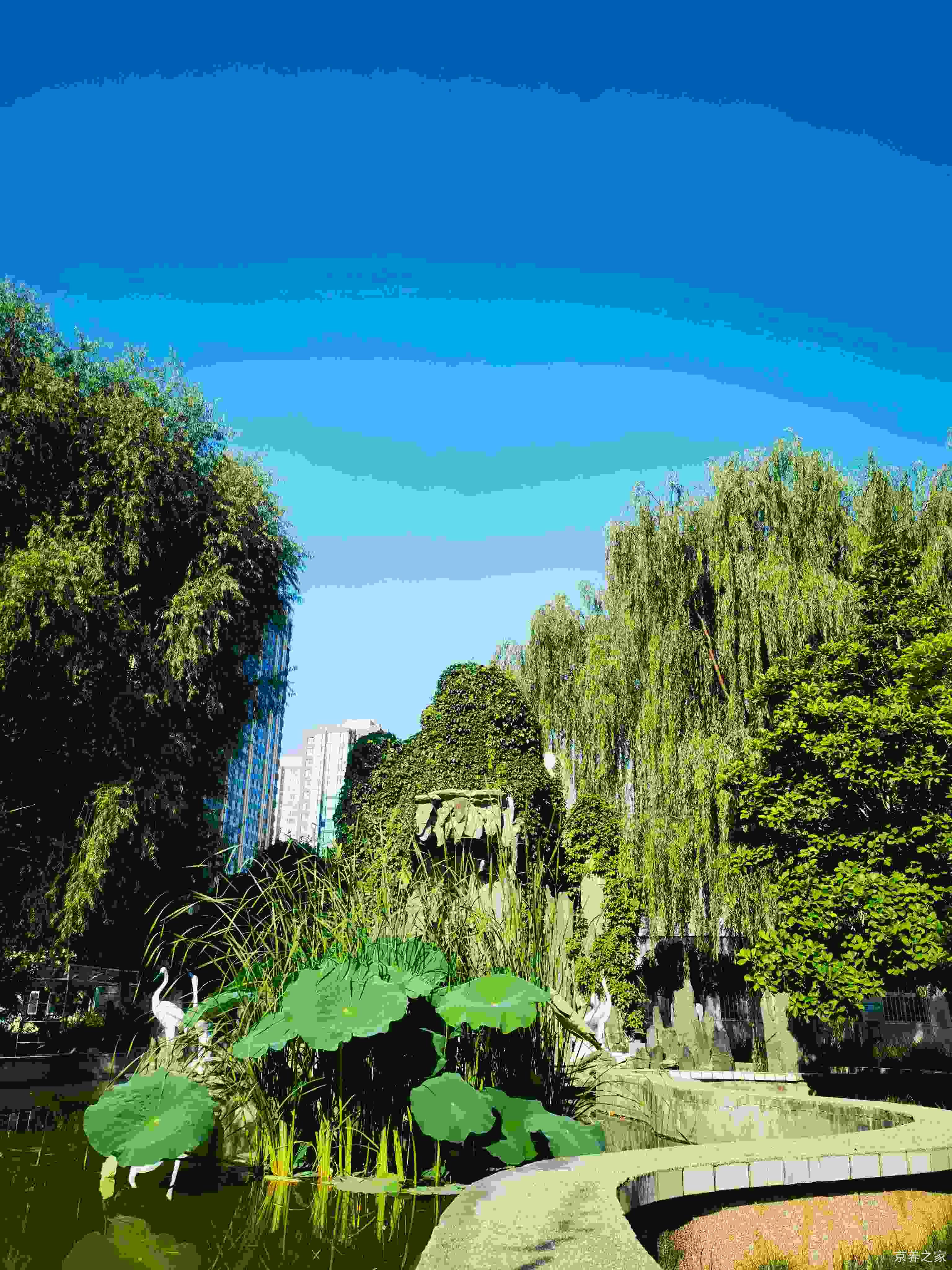 北京市第四社会福利院