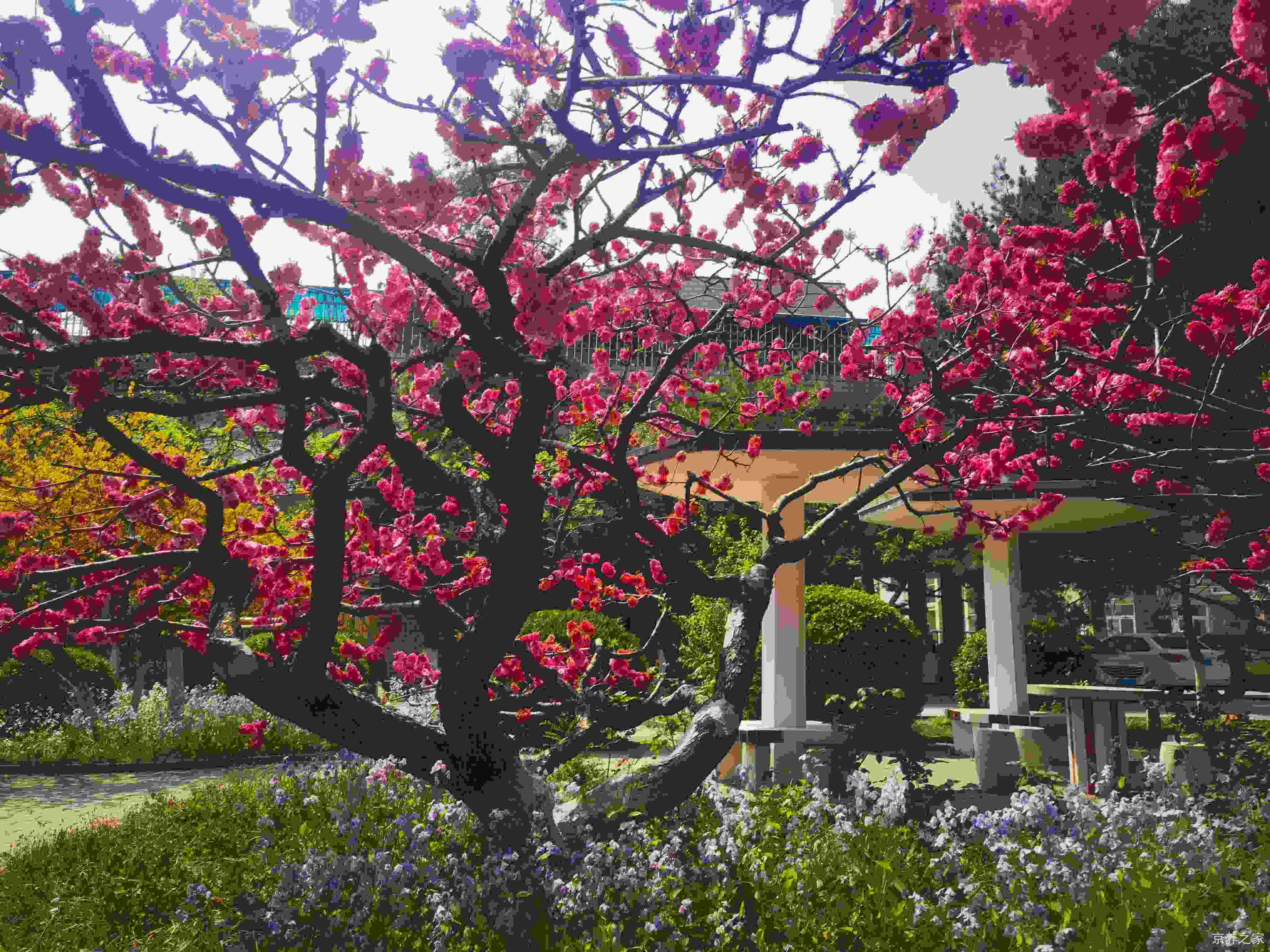 北京市第四社会福利院