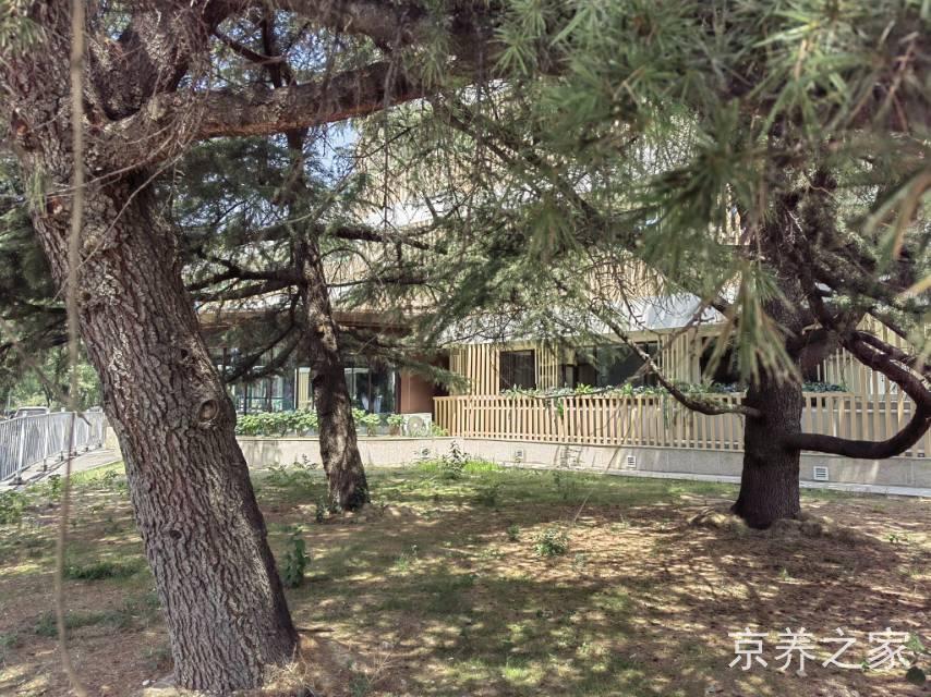 北京市石景山区老年福养老服务中心（金顶街老年福养老照料中心）