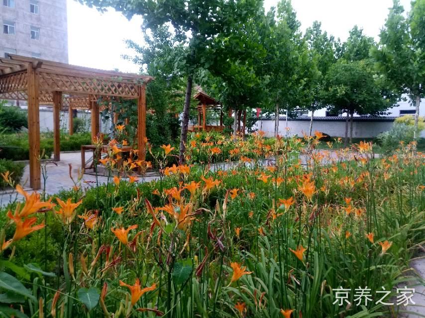 北京市大兴区绿康源老年护养院