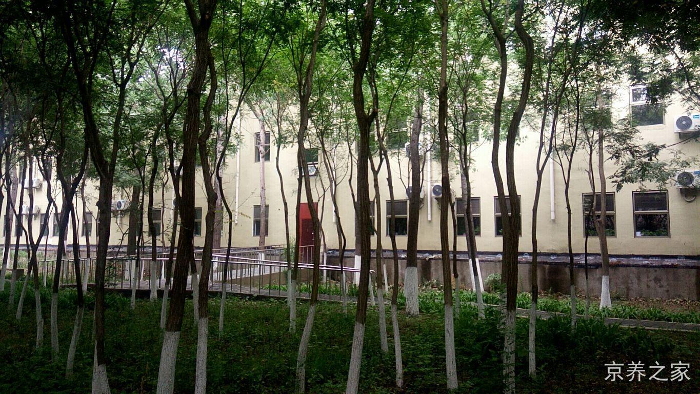 北京市大兴区仁康养老服务中心