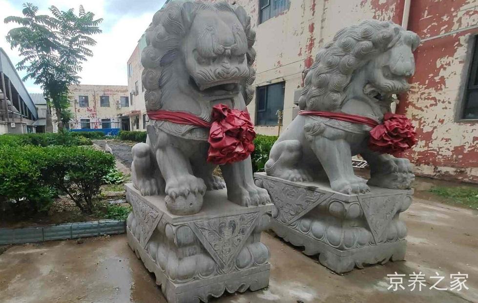 虹枫老年护养院