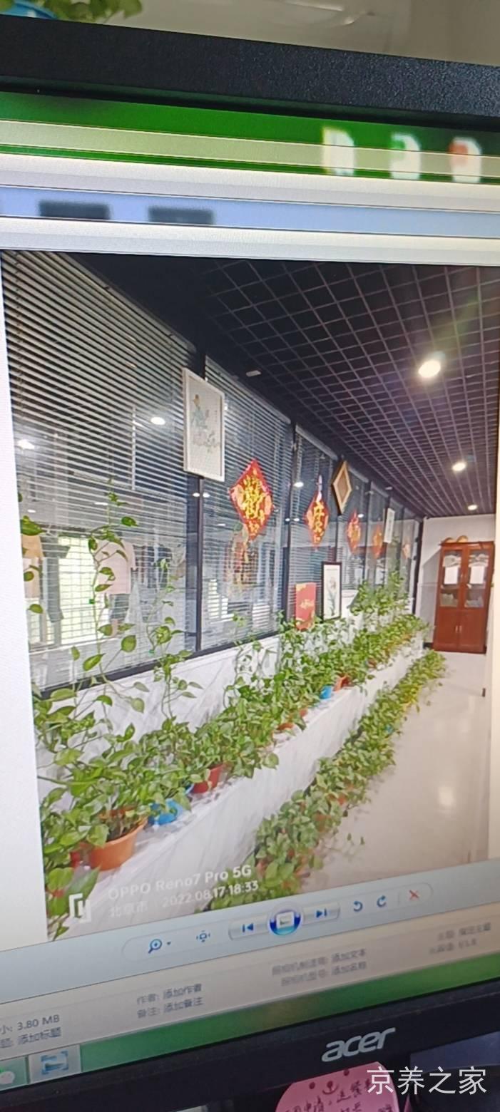 北京市昌平区回龙观镇敬老院